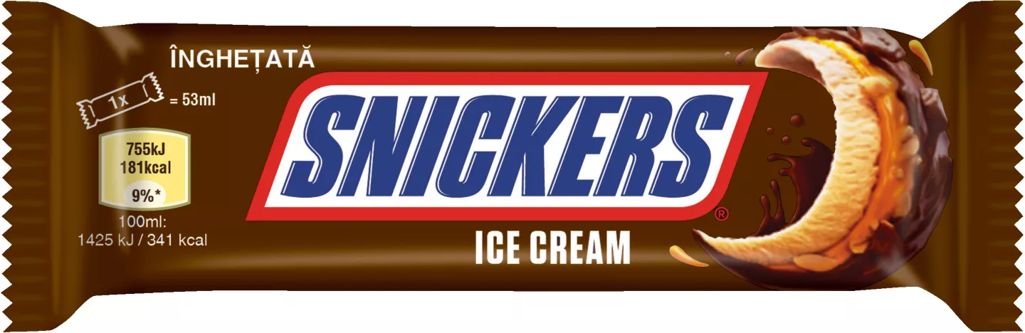 Snickers Ingh 48g