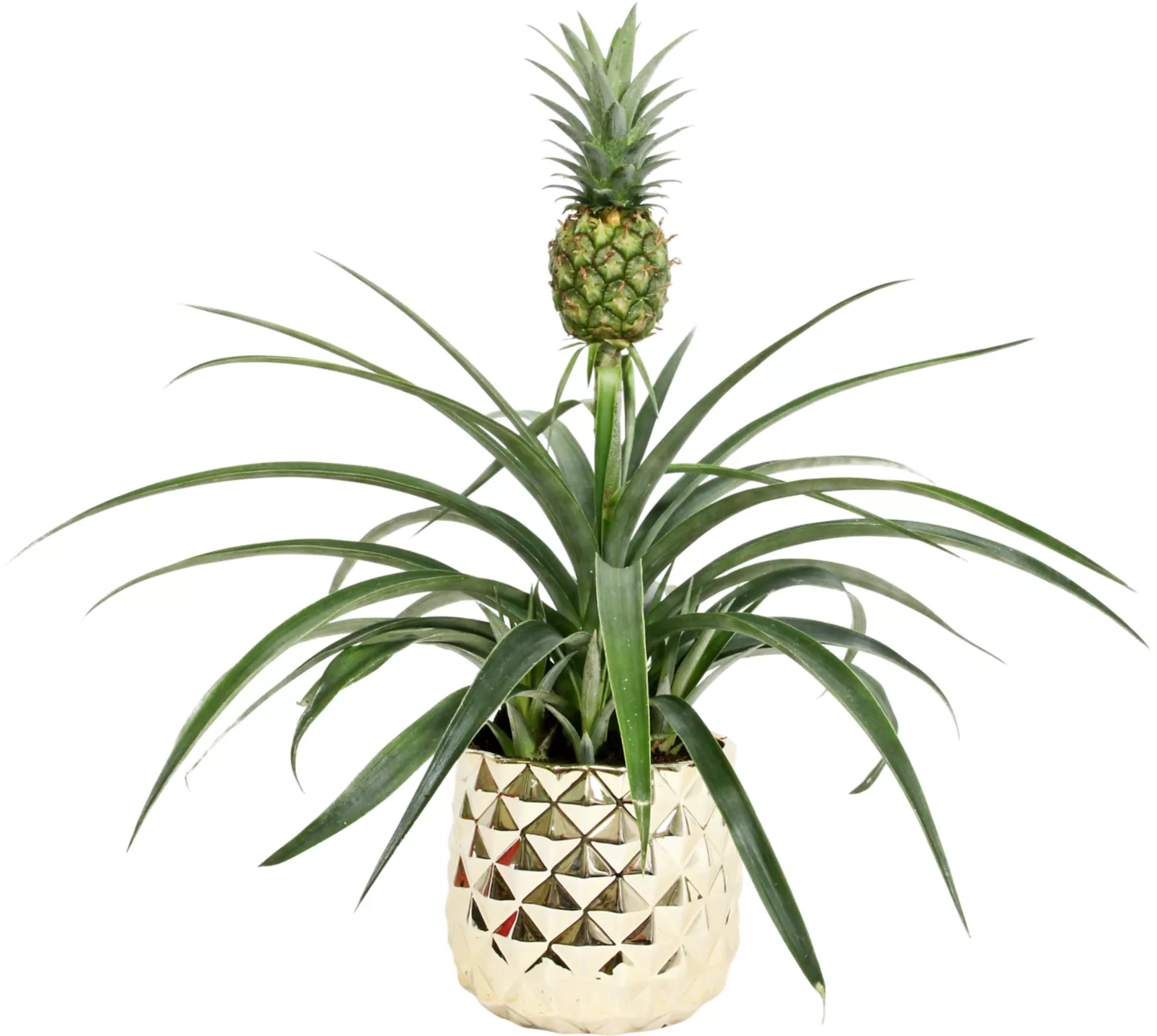 Ananas Vas Ceramic