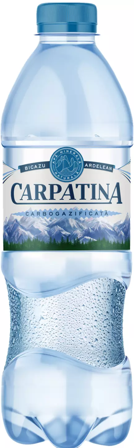 Carpatina Apa 0,5l
