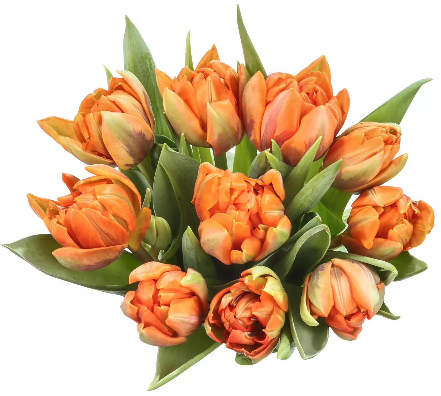 Buchet Lalele Mix 9