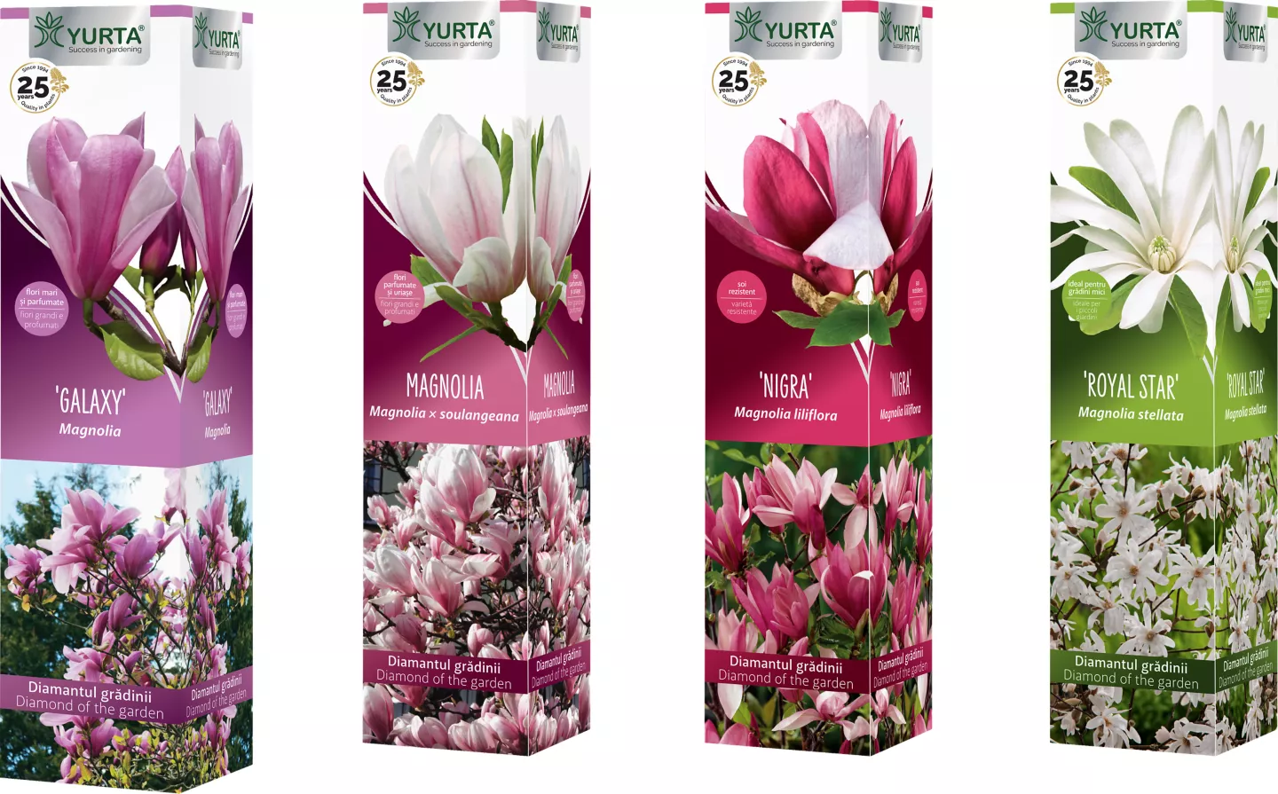 Butas Magnolie