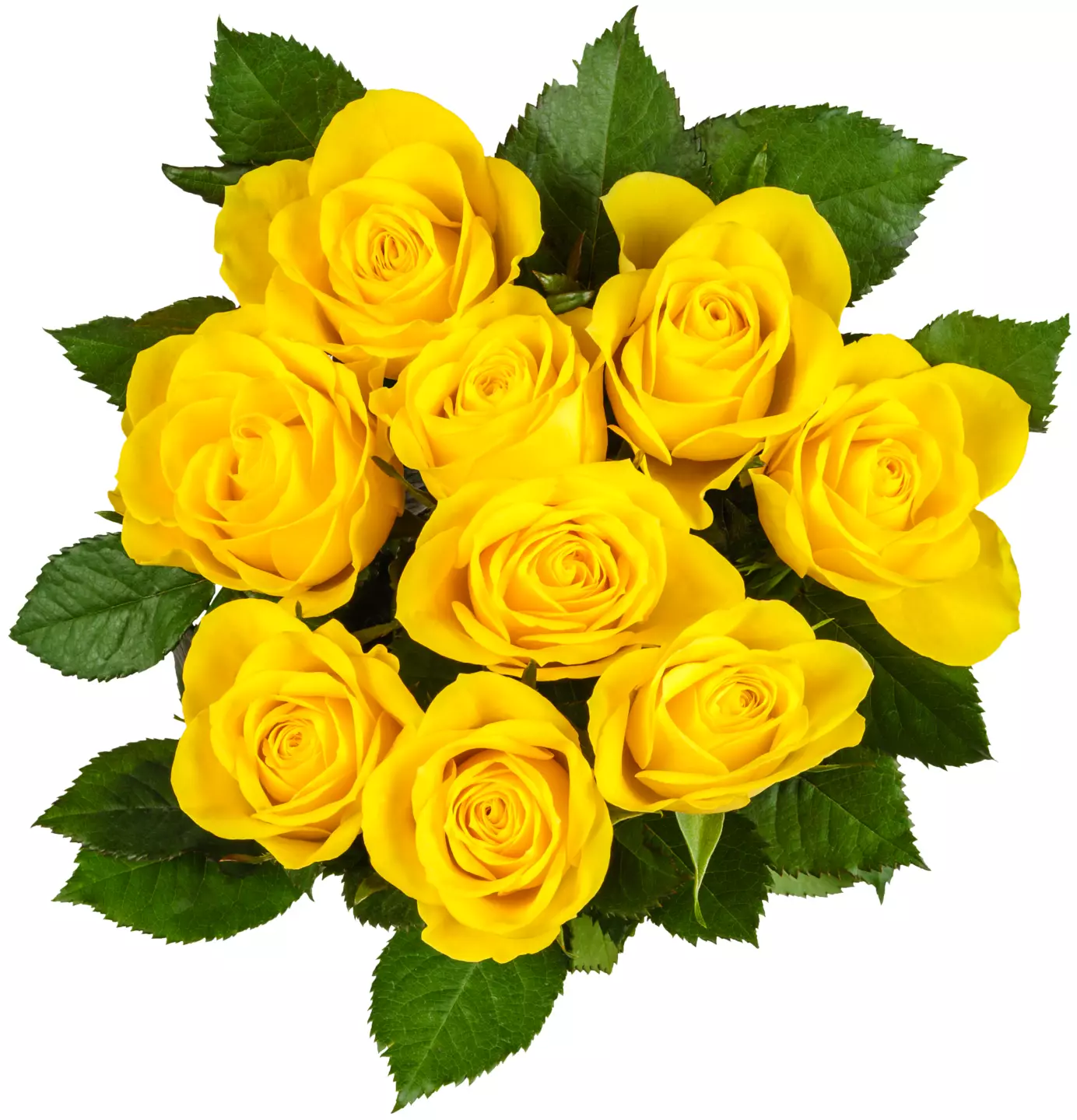 Buchet Trand 9 G+p