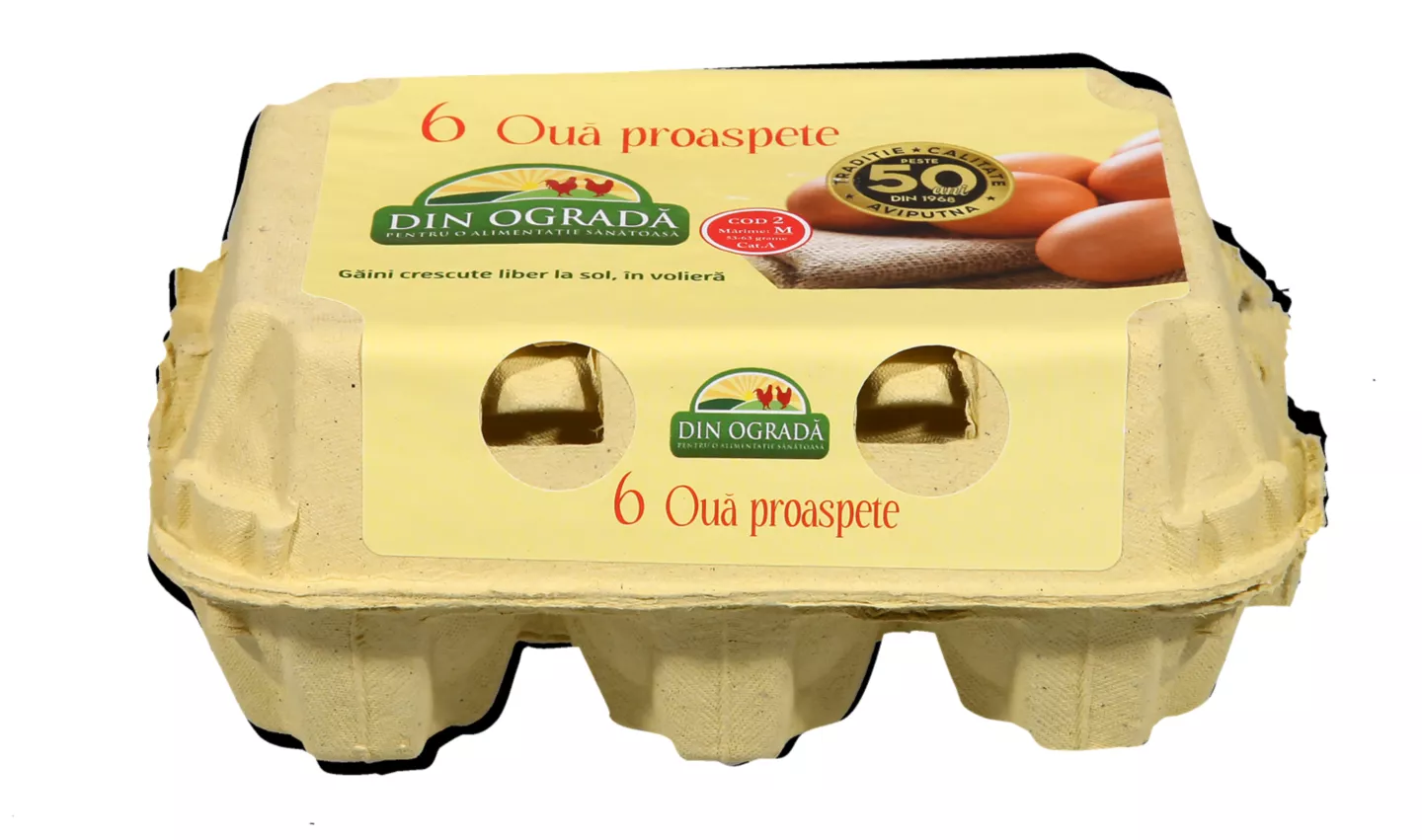 Aviputna 6oua M