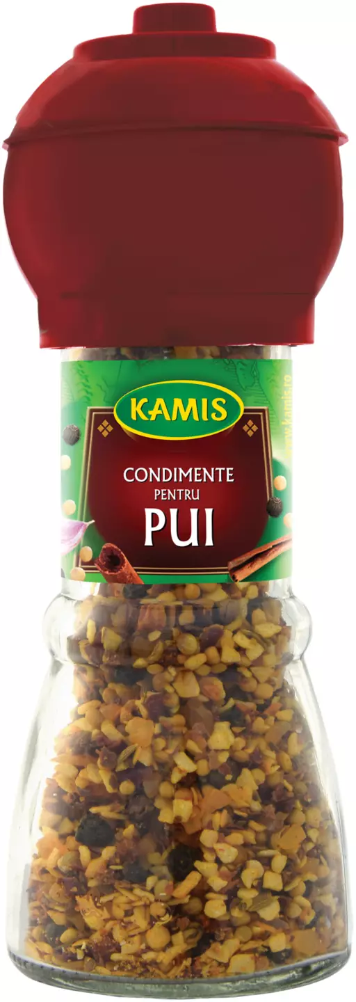 Kamis Rasnita Pui