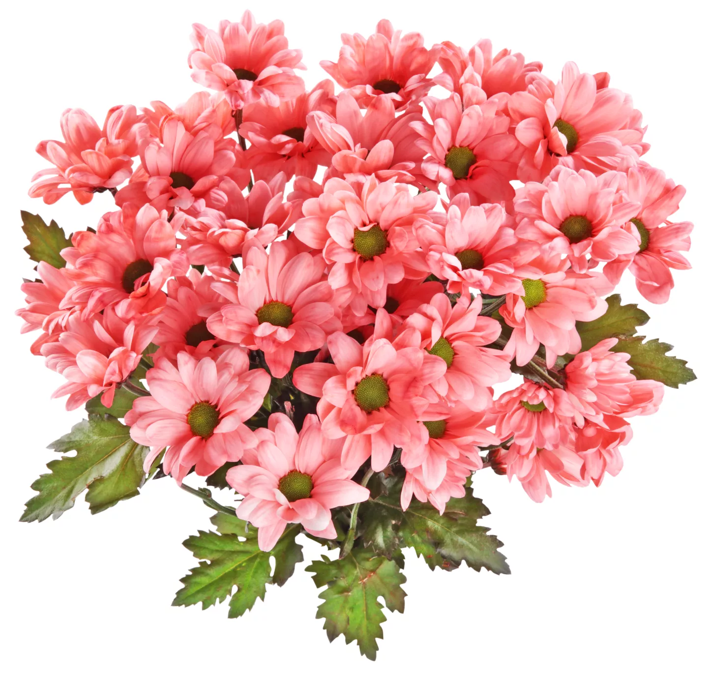 Buchet Criz 3