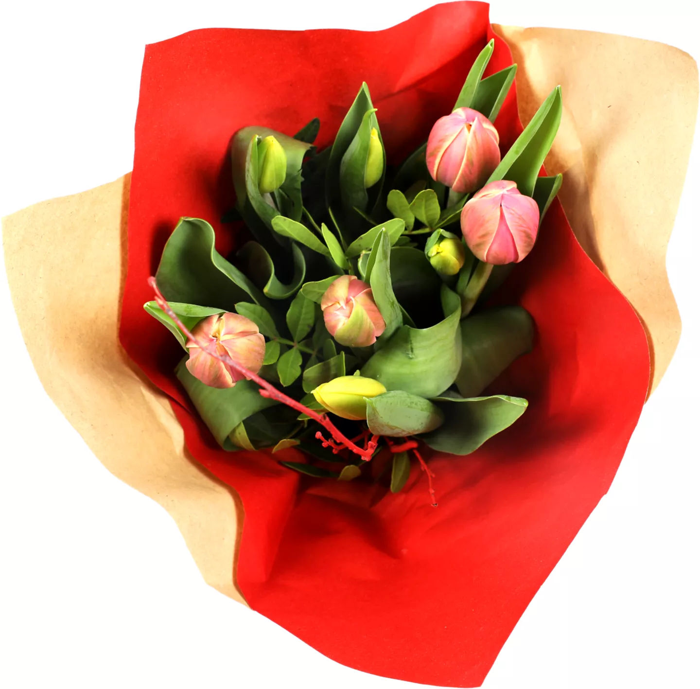 Tulpen Mix 35 cm