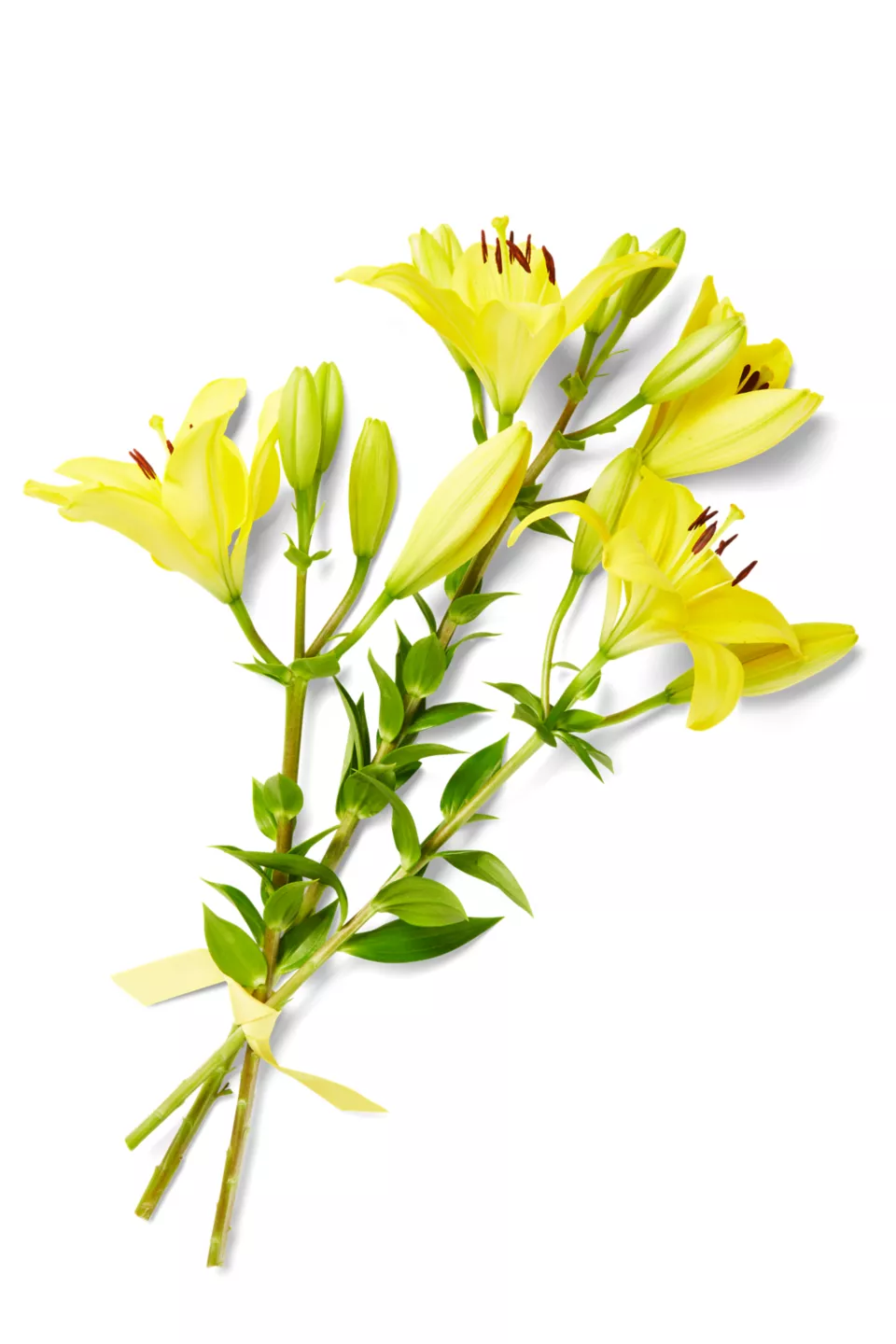 Buchet Crini 3 Fire