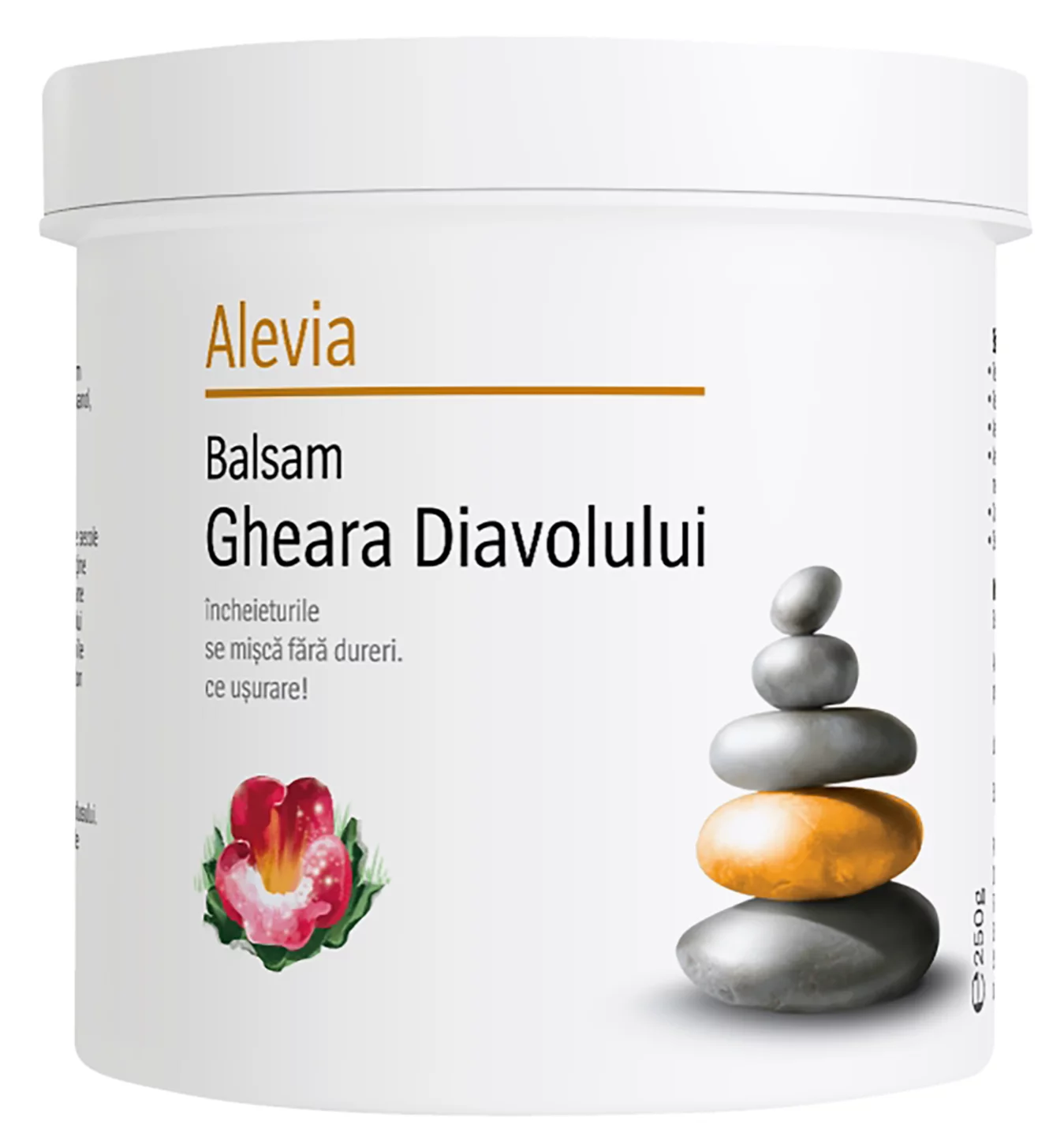 Alevia Gh Diavolului