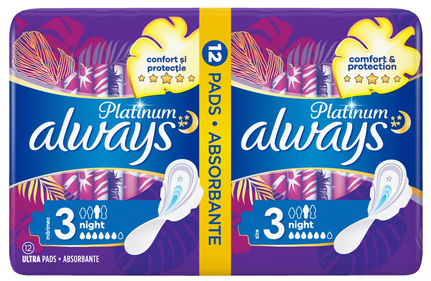 Always Night 12 buc