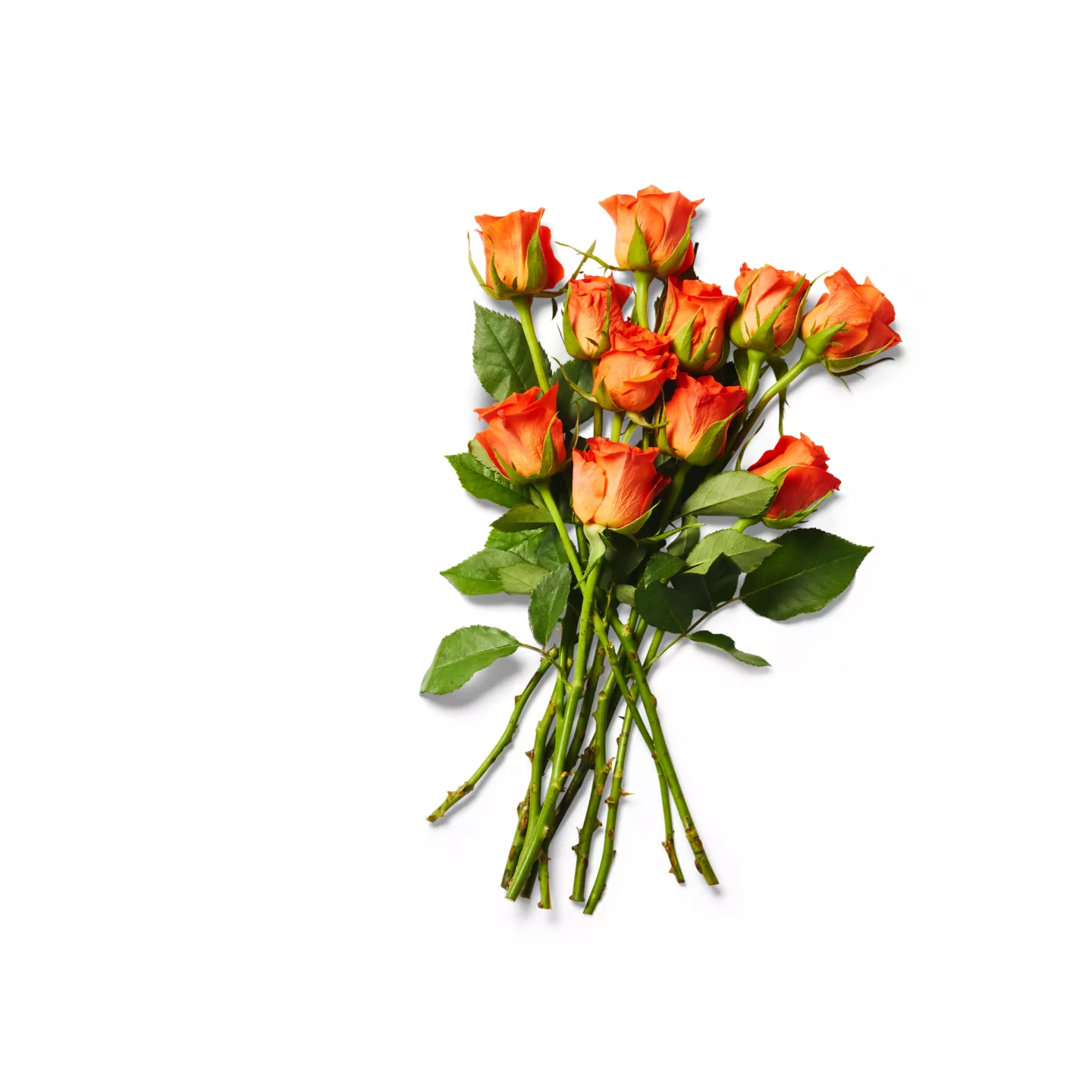 Trand Disc 11 Fire