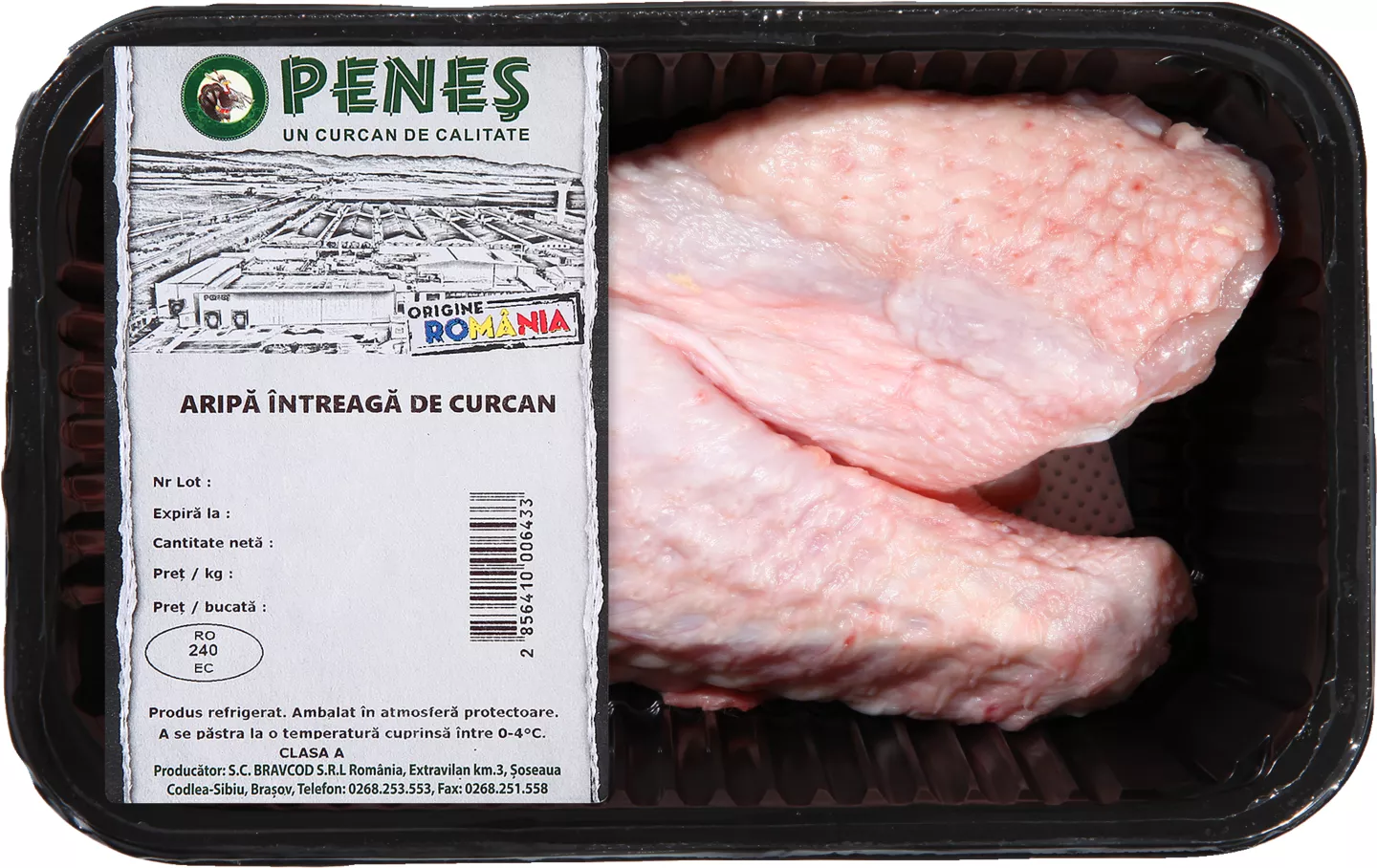 Penes Aripa Curcan
