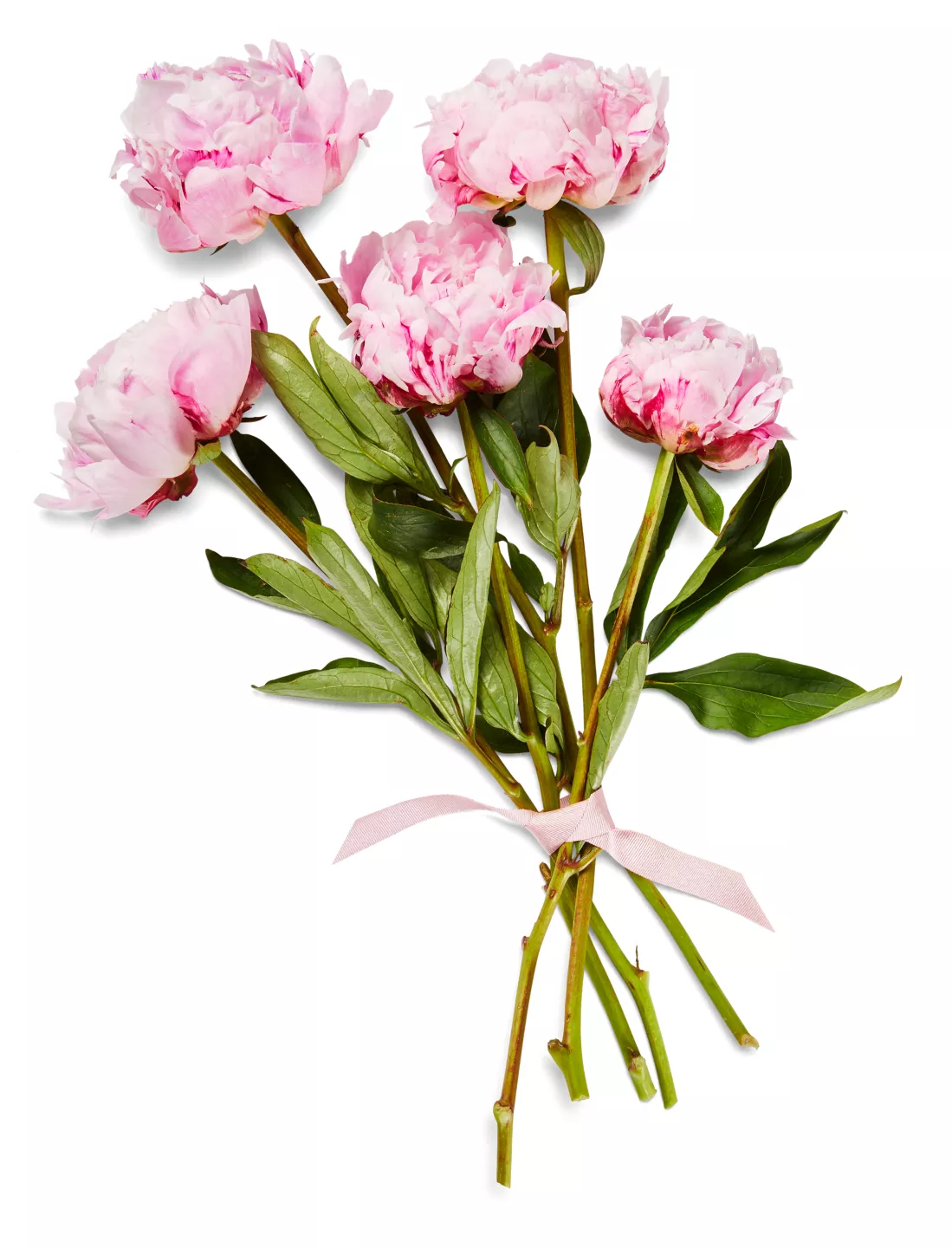 Buchet bujori Buchet bujori 5 fire 40 cm