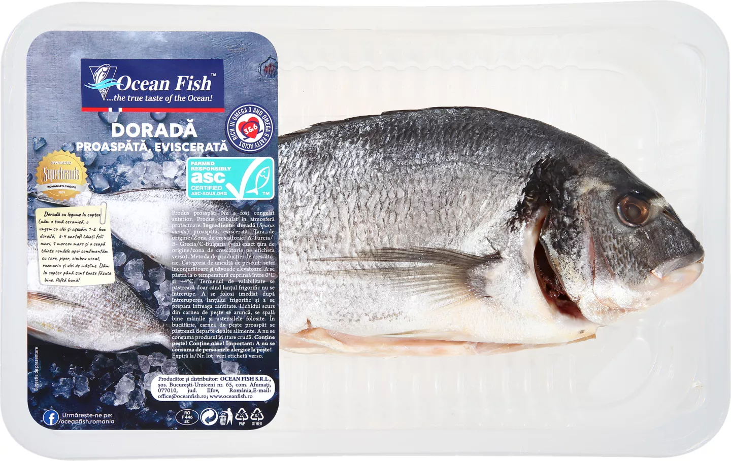 Ocean Fish Dorada