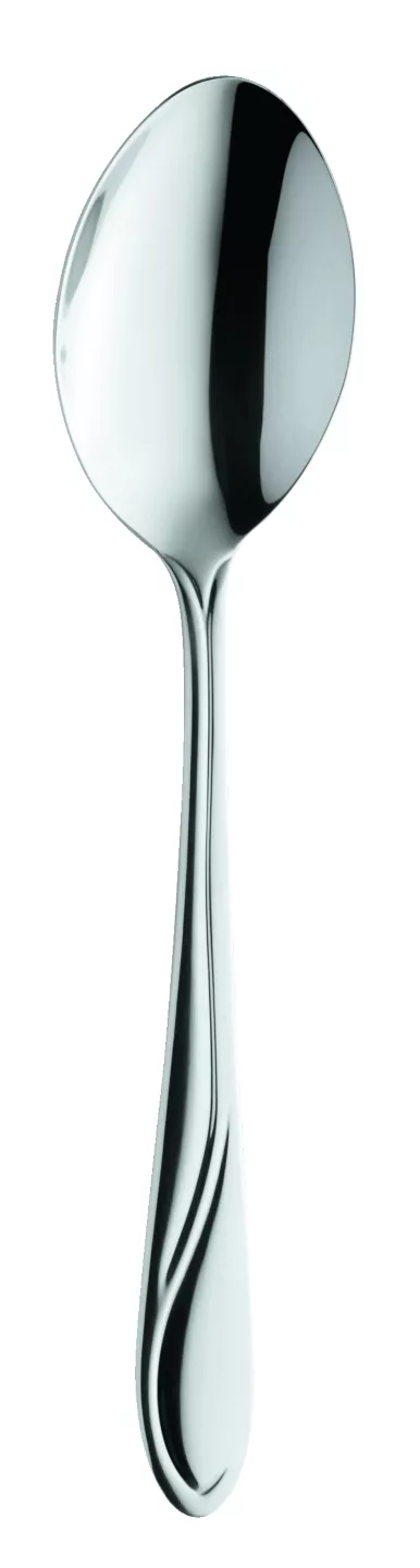 Toortitzi Cioc N 100