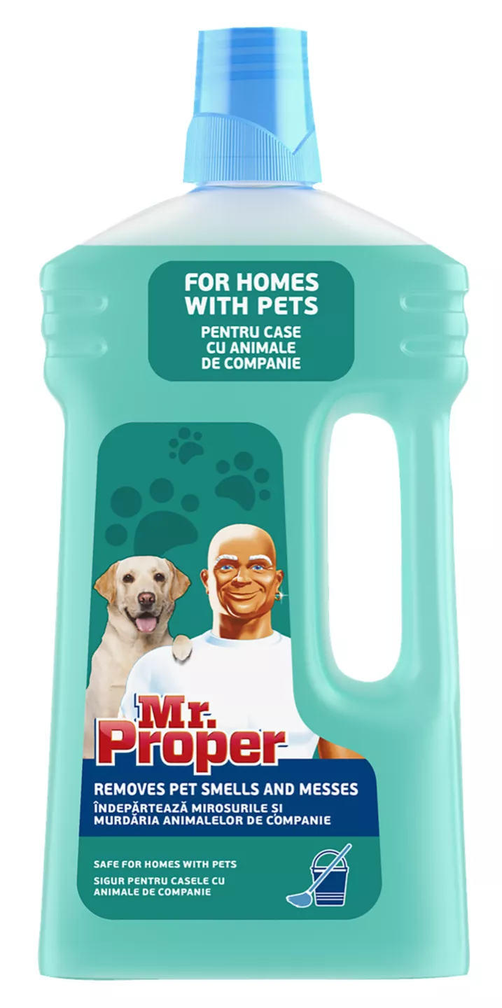 Mr Proper 1 l