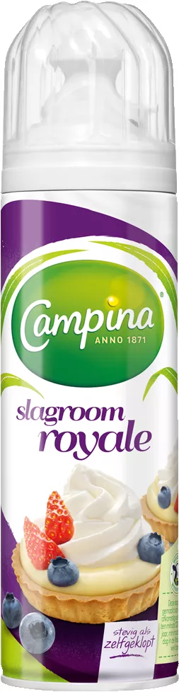 Campina Frisca 225g