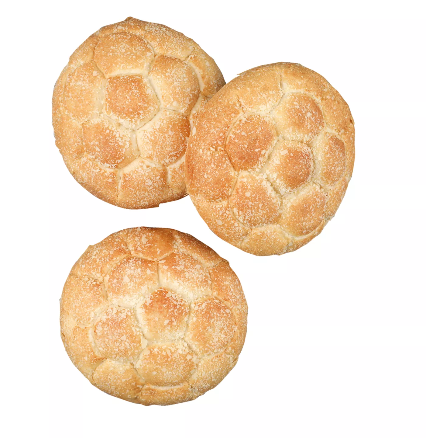 6 Foi Tortilla