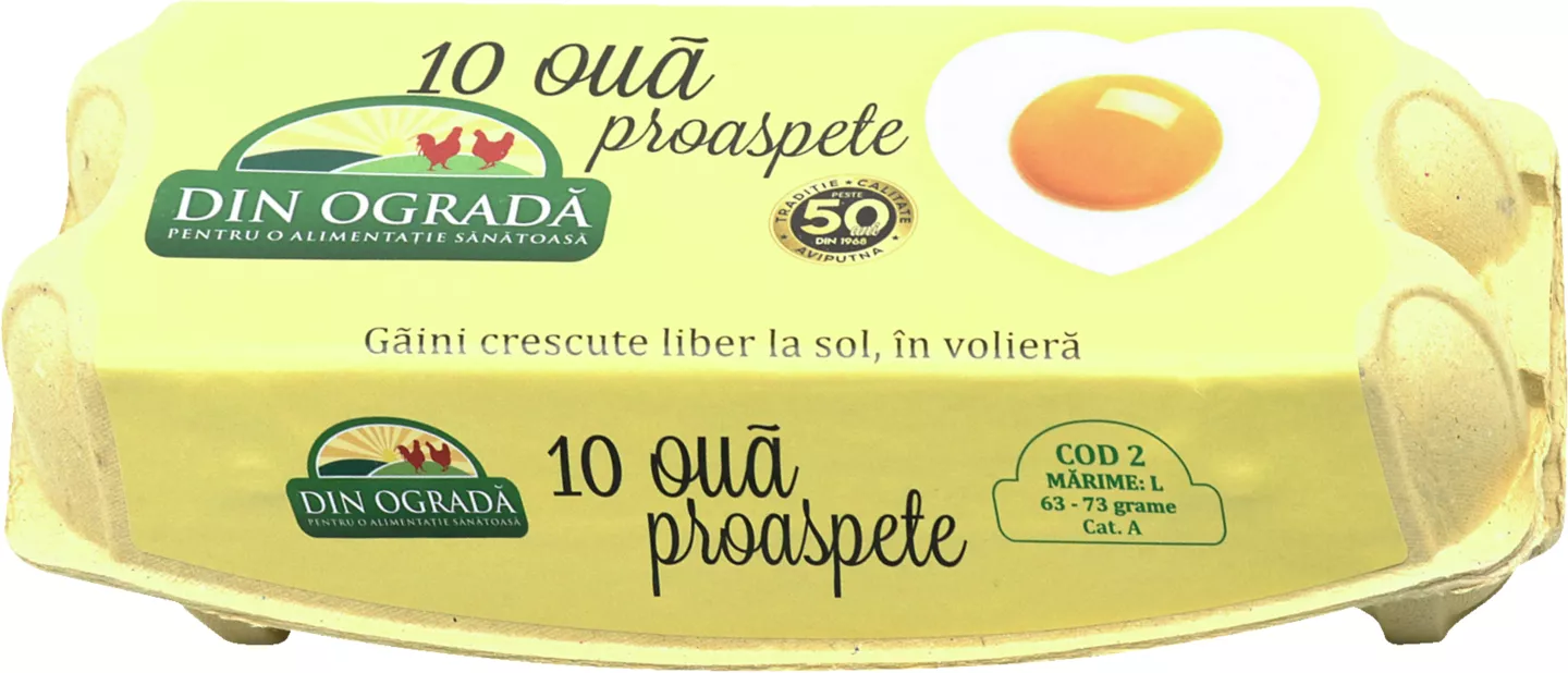 Aviputna Oua l 10