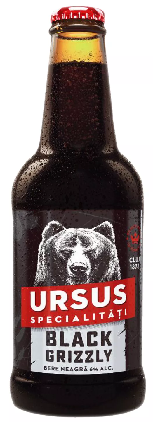 Ursus Black 0,33l