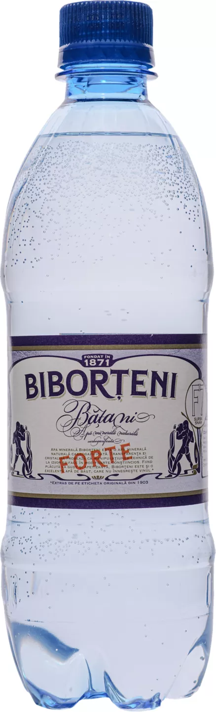 Biborteni 0,5 l