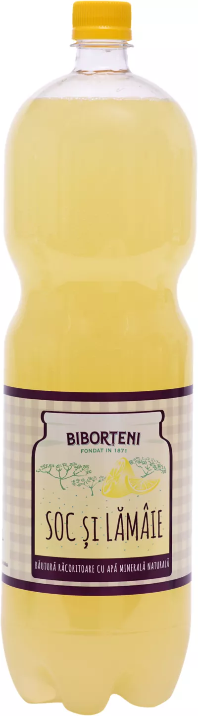 Biborteni Soc 2l