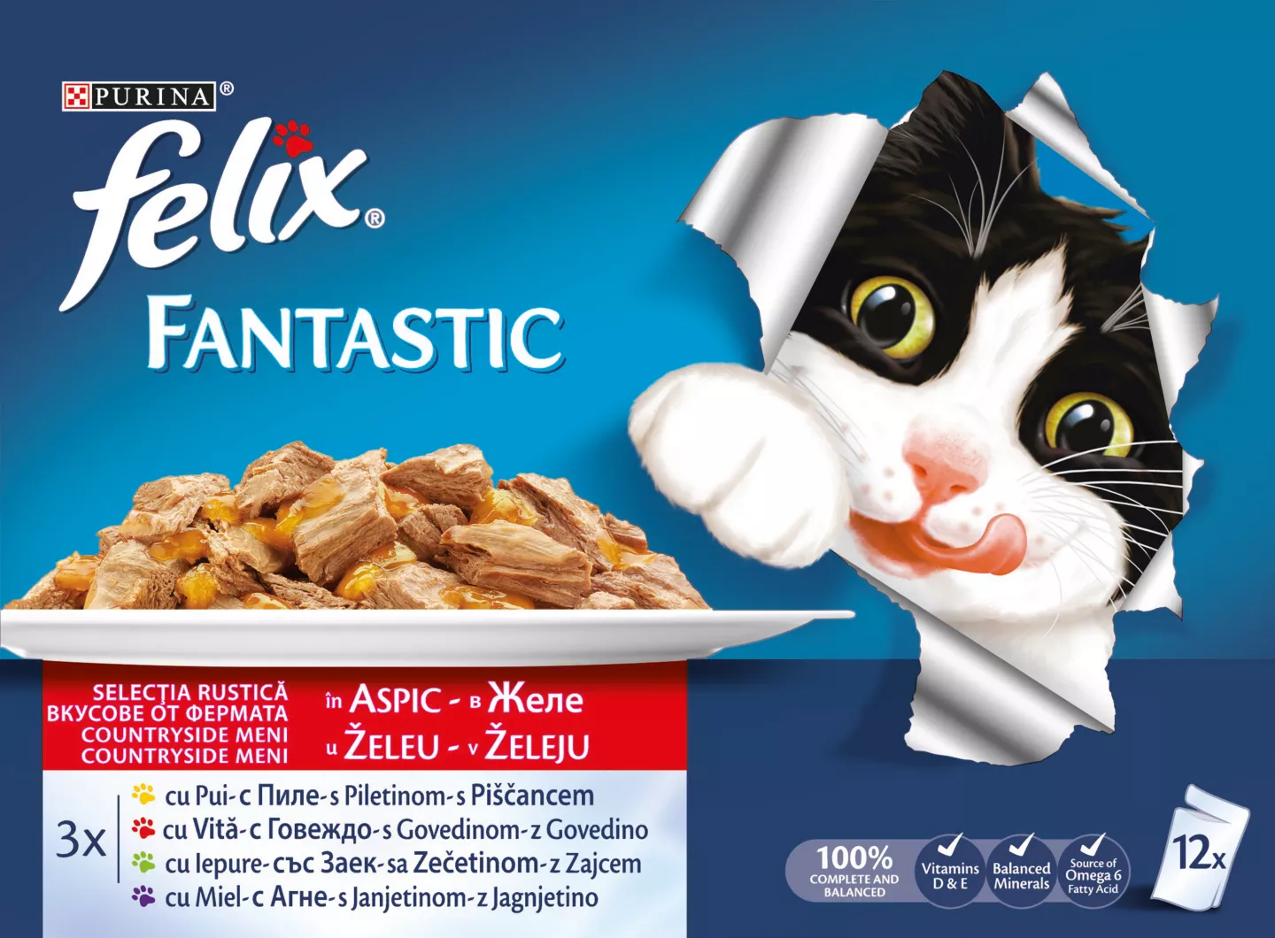 Felix Fantastic