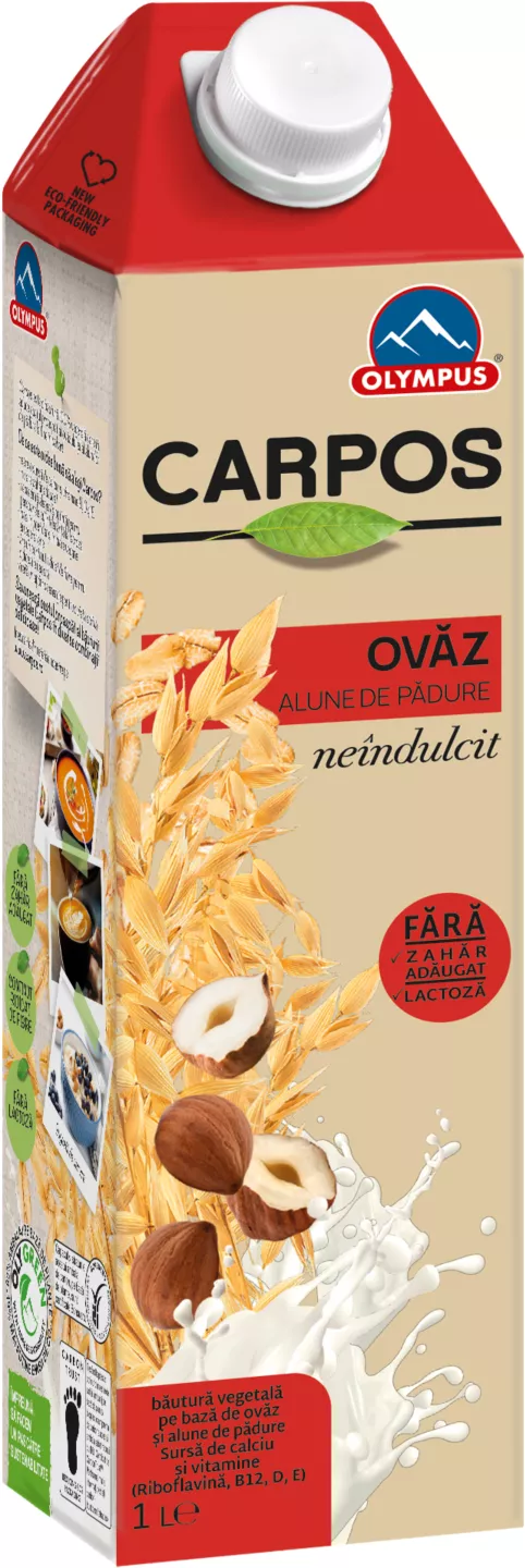 Carpos Bau Ovaz&al