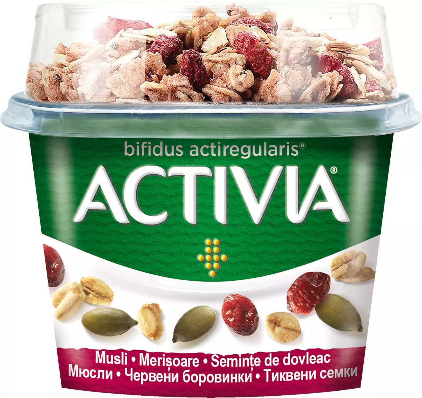 Activia Dov/mer170