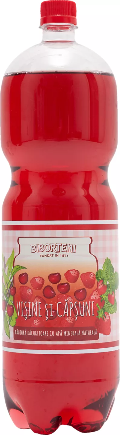 Biborteni 2l