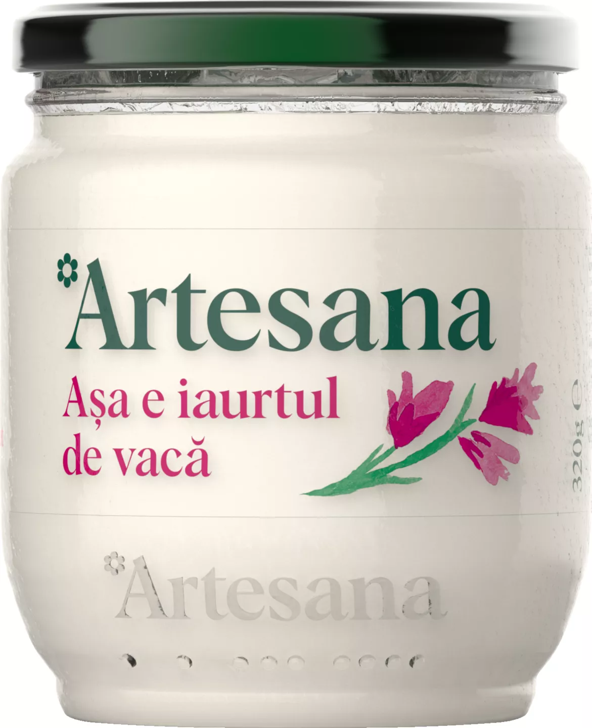 Artesana Iaurt V320
