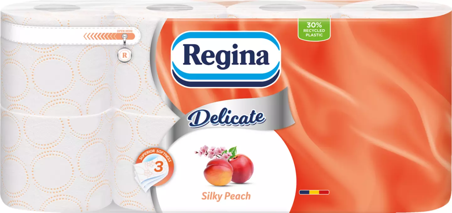 Regina Hartie Ig 8r
