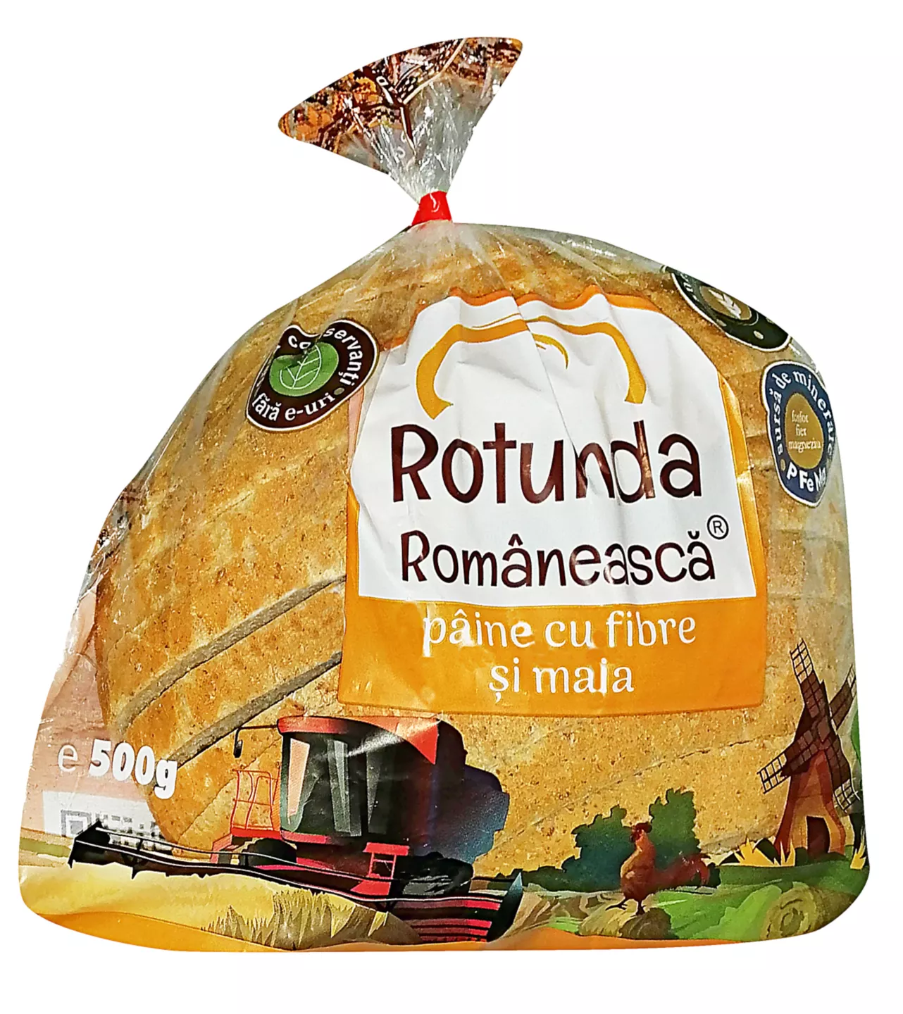 Paine Integrala