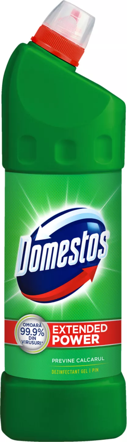 Domestos Pine 1 l