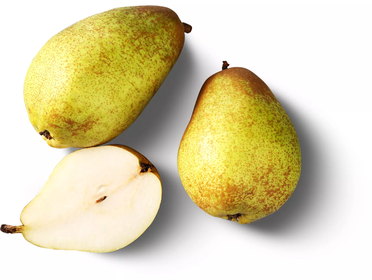 Busuioc Punga