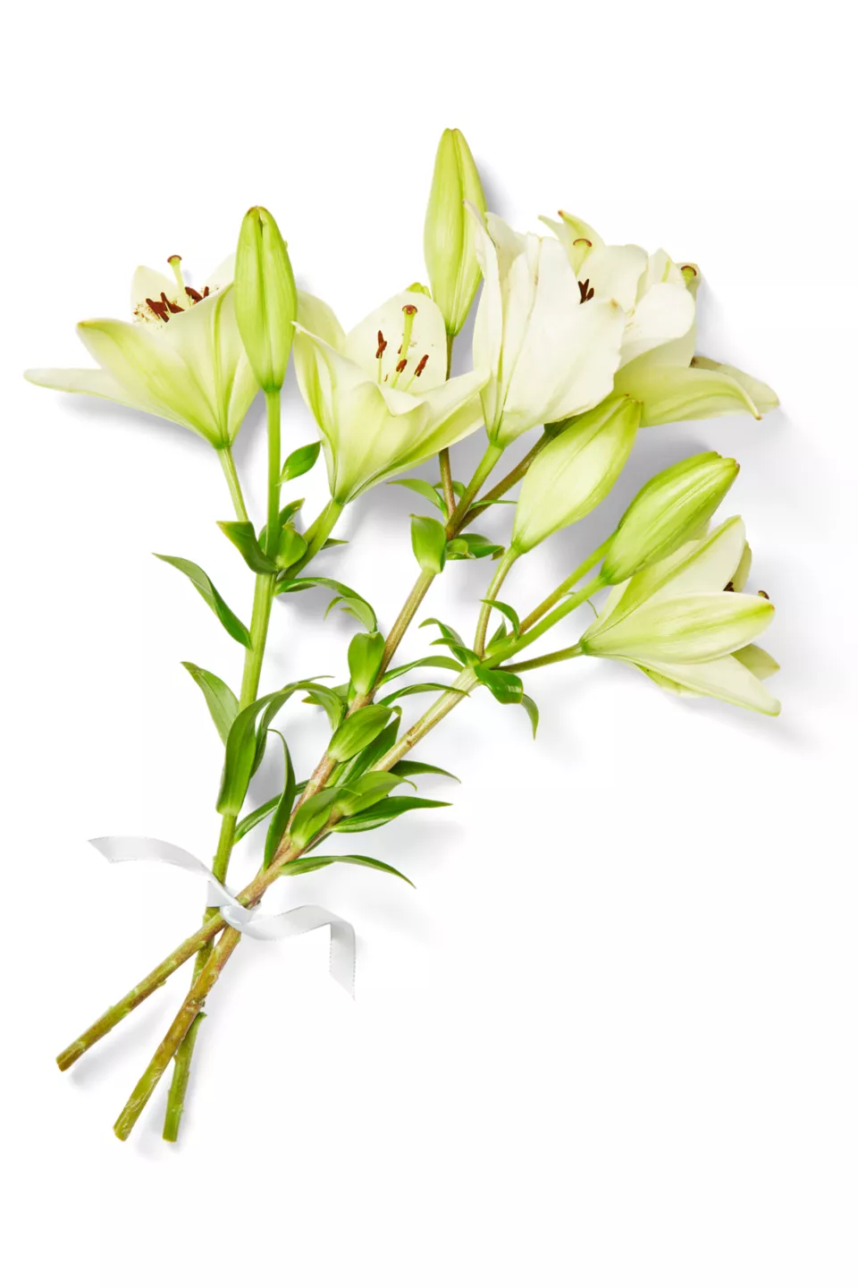 Buchet Crini 3 F