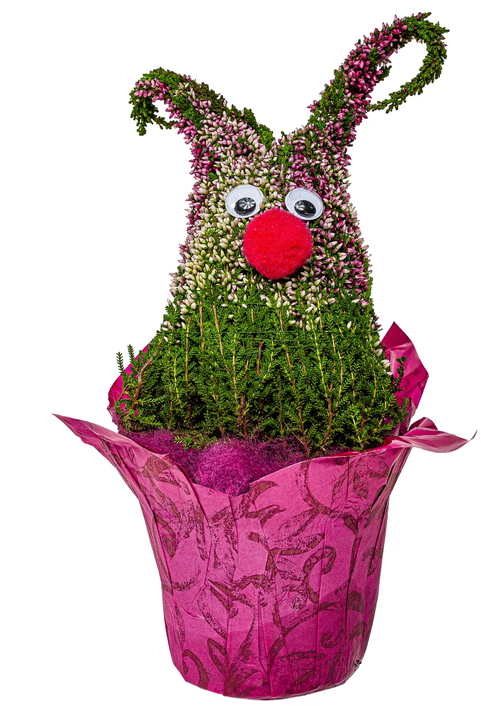 Calluna 12 cm