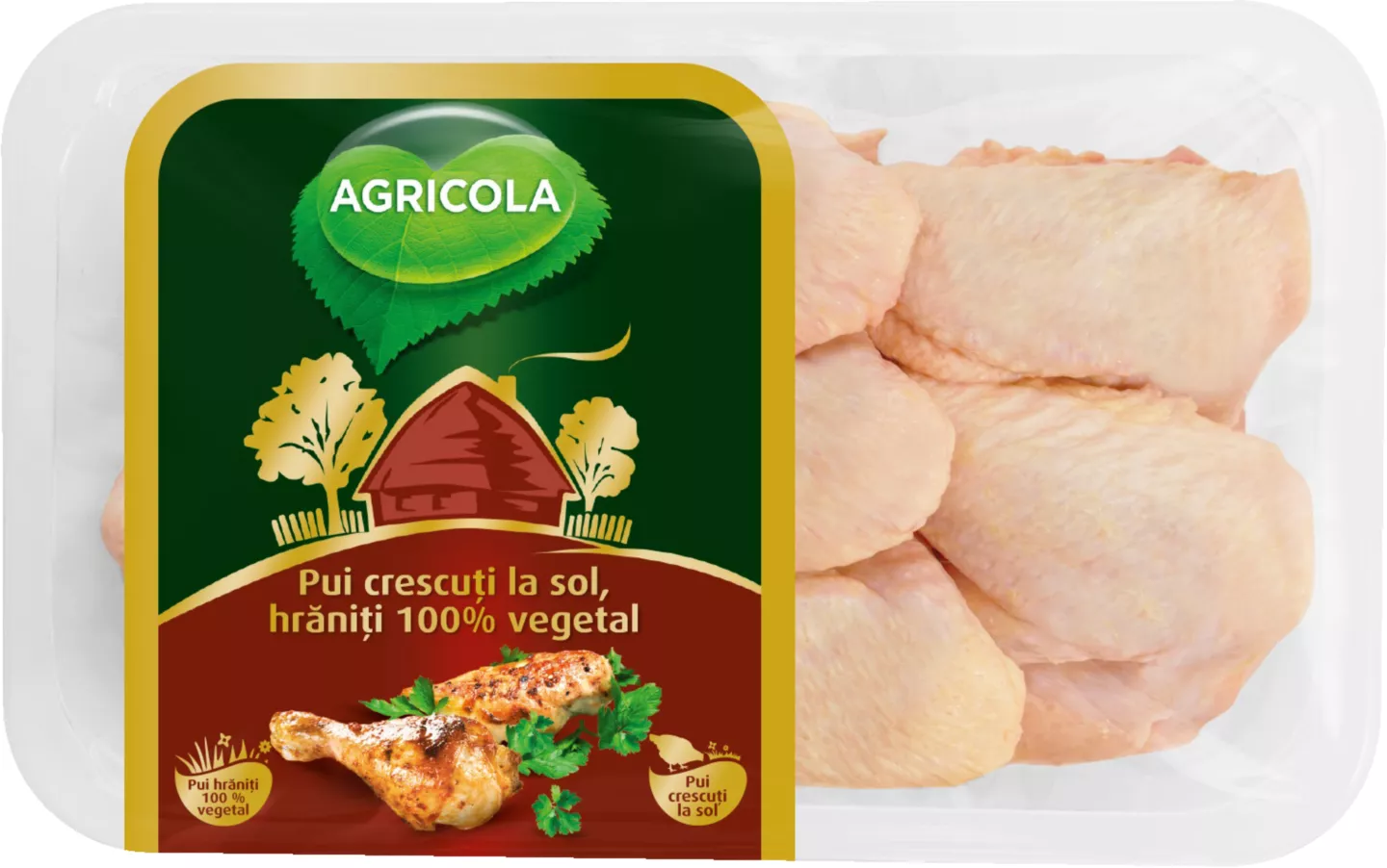 Agricola Aripi Pui