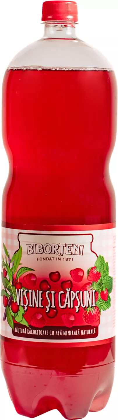 Biborteni 2l