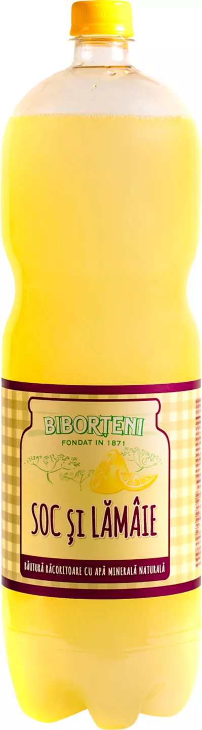 Biborteni Soc 2l