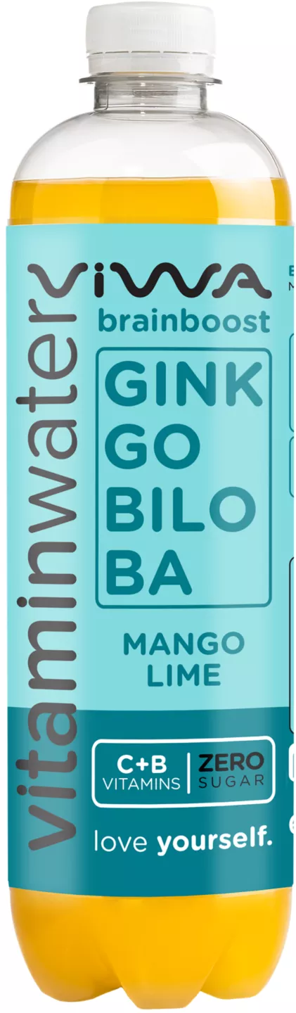 Viwa Brainboost 0,6l