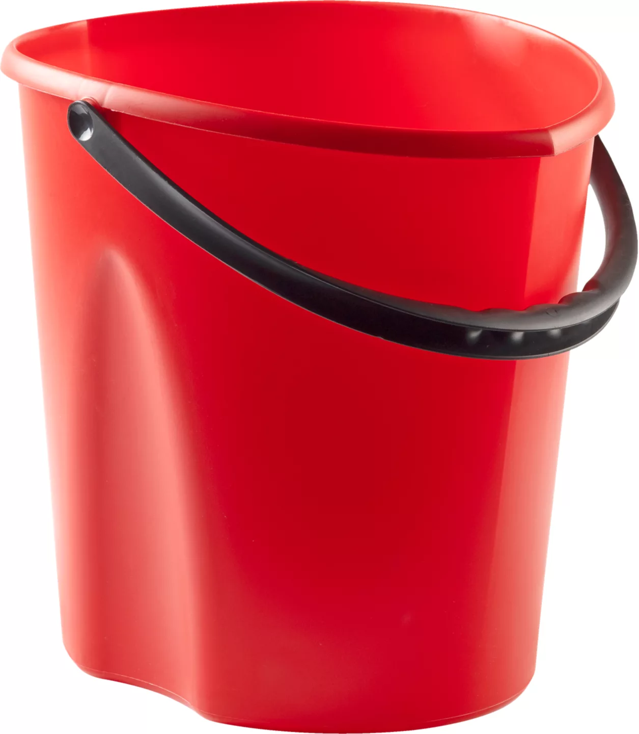 Galeata Plastic