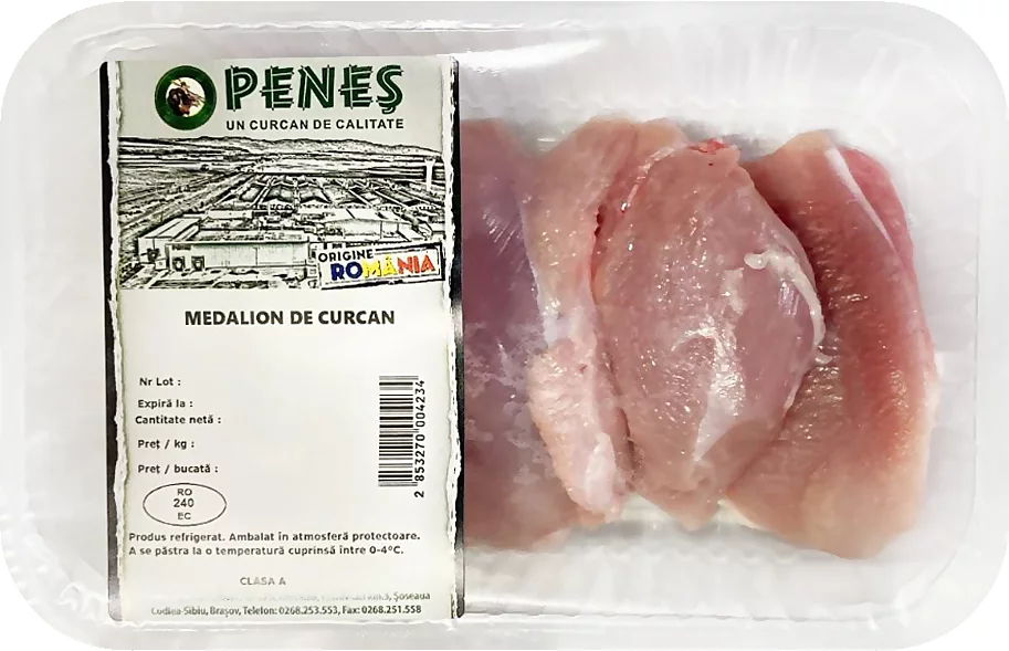P Penes Muschiulet