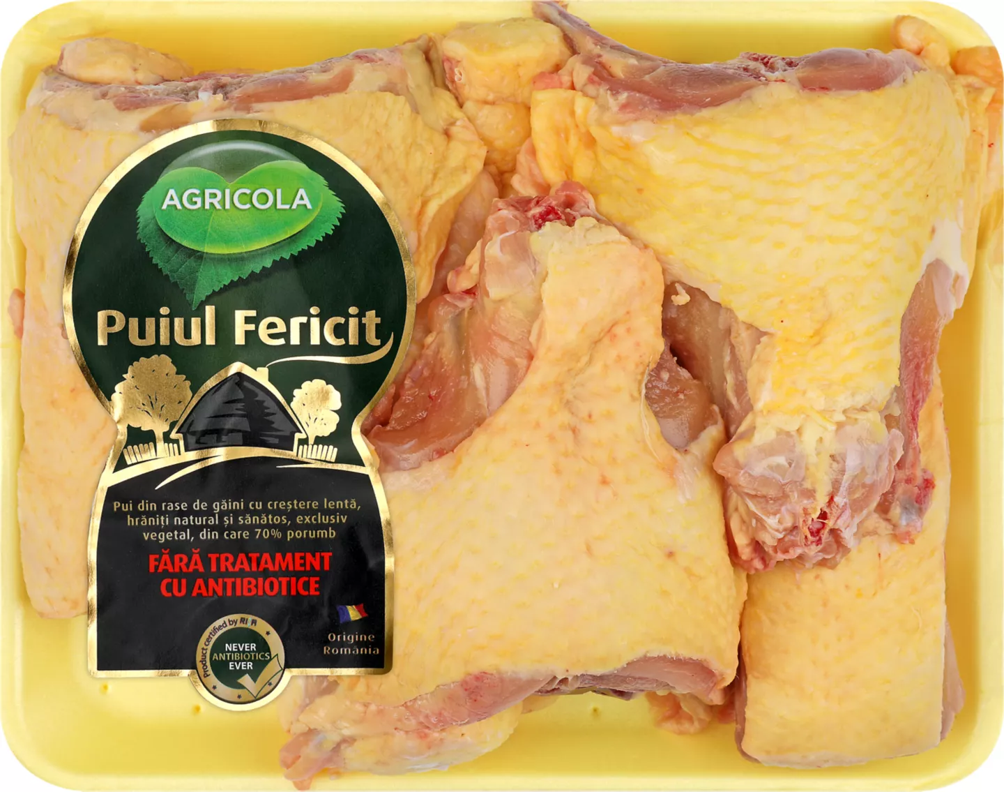 Carne Ciorbita