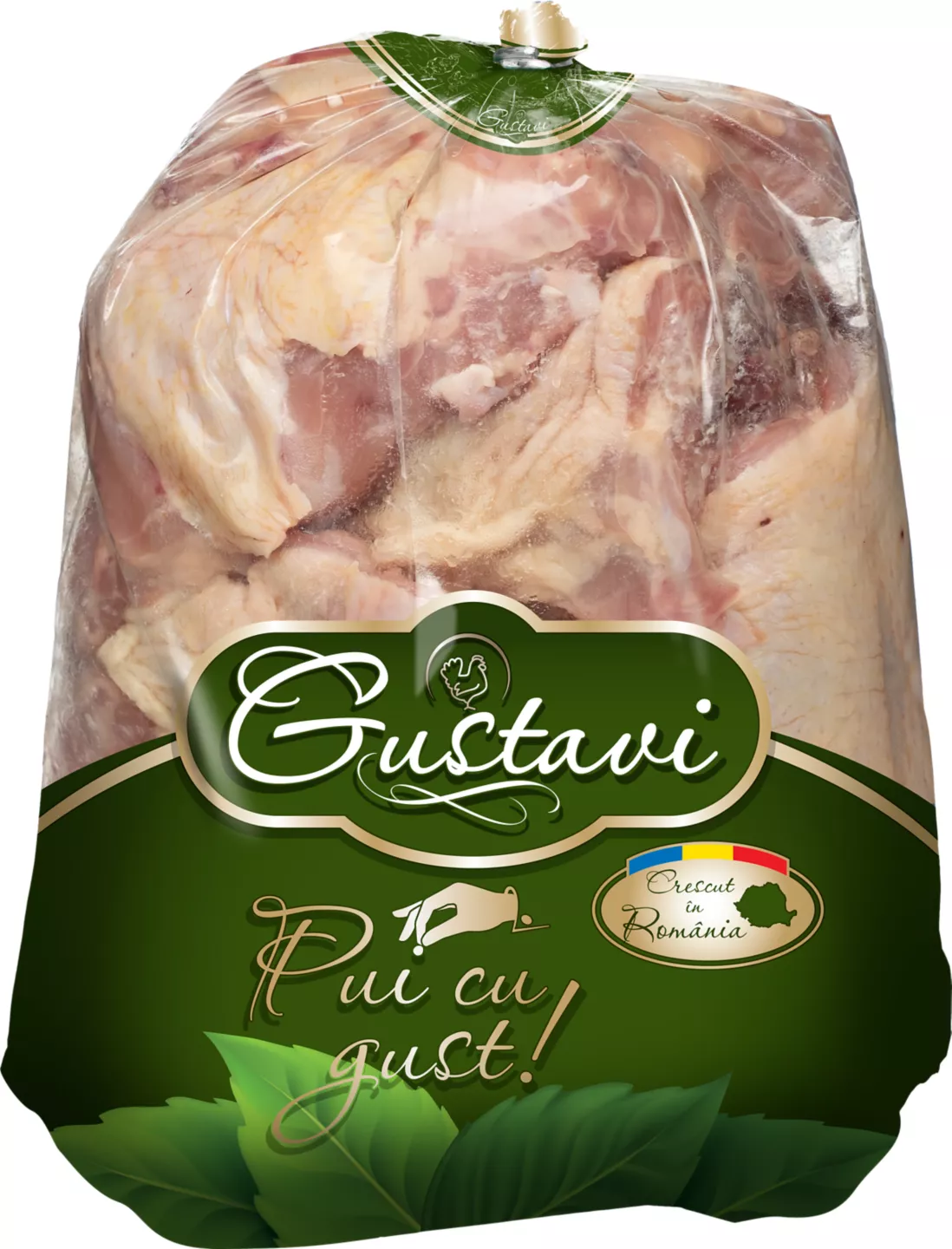 Gustavi Spinari