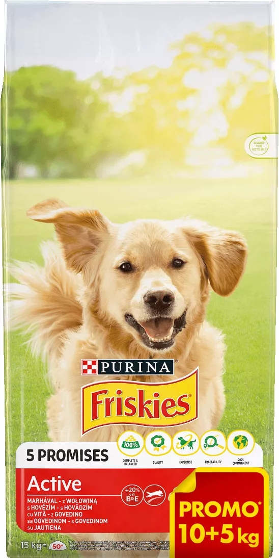 Friskies Activ10+5KG
