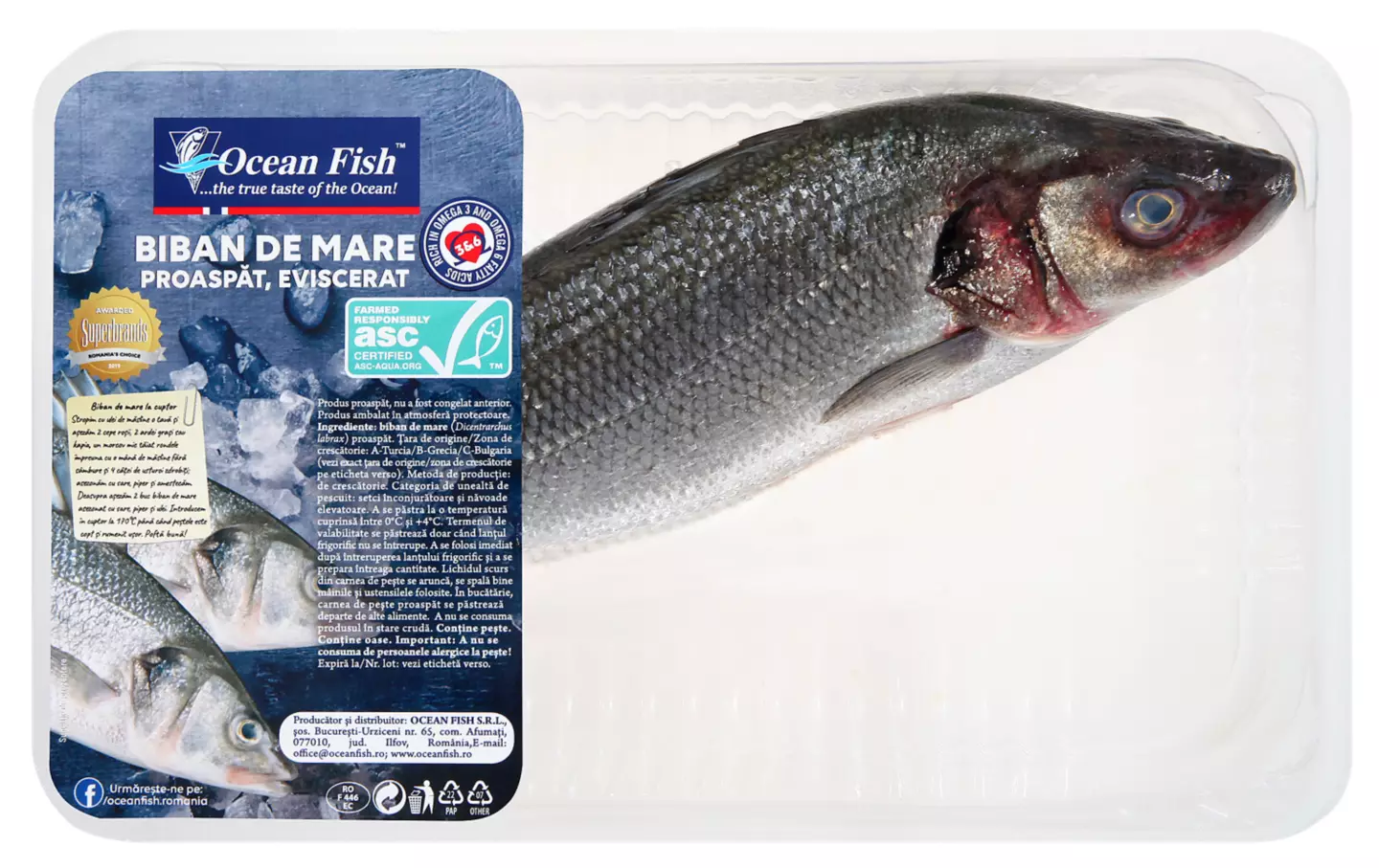 Ocean Fish Biban