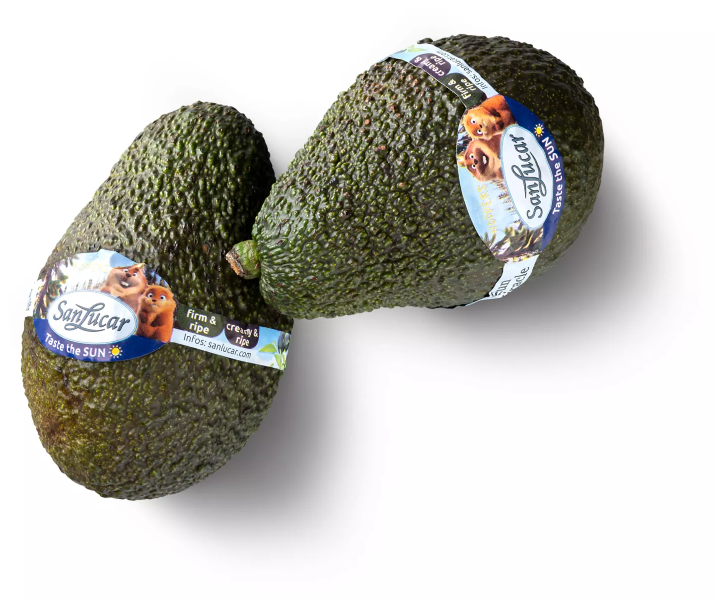 San Lucar Avocado