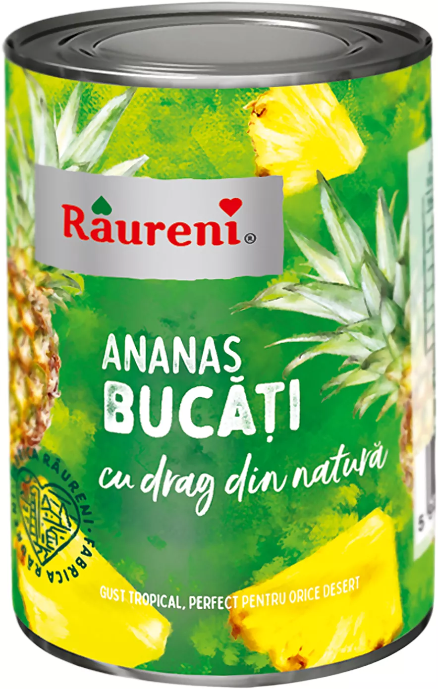 R Ananas buc 567g