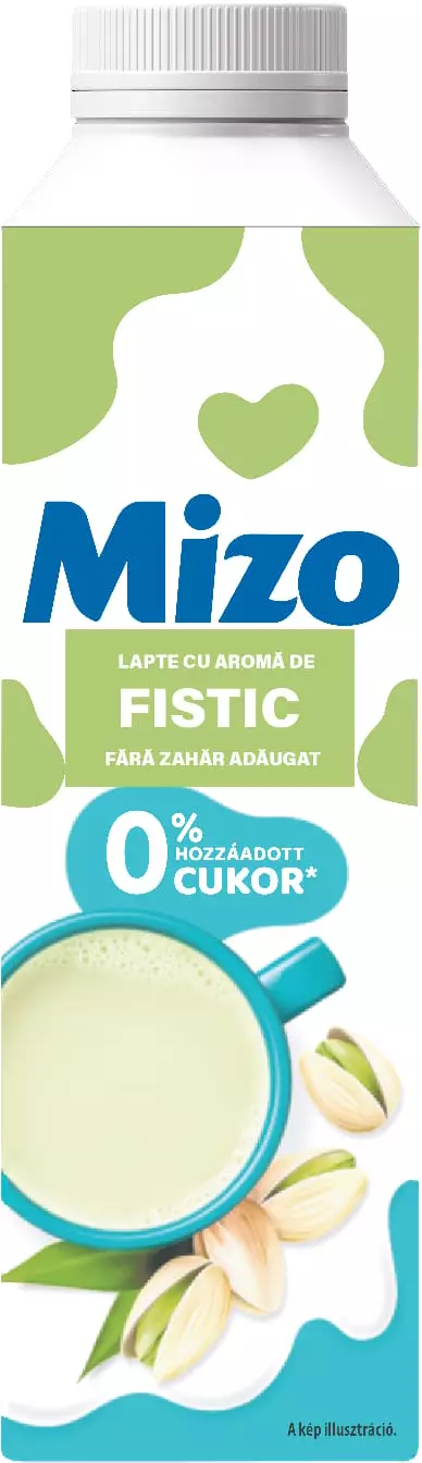 Mizo Lapte Fistic