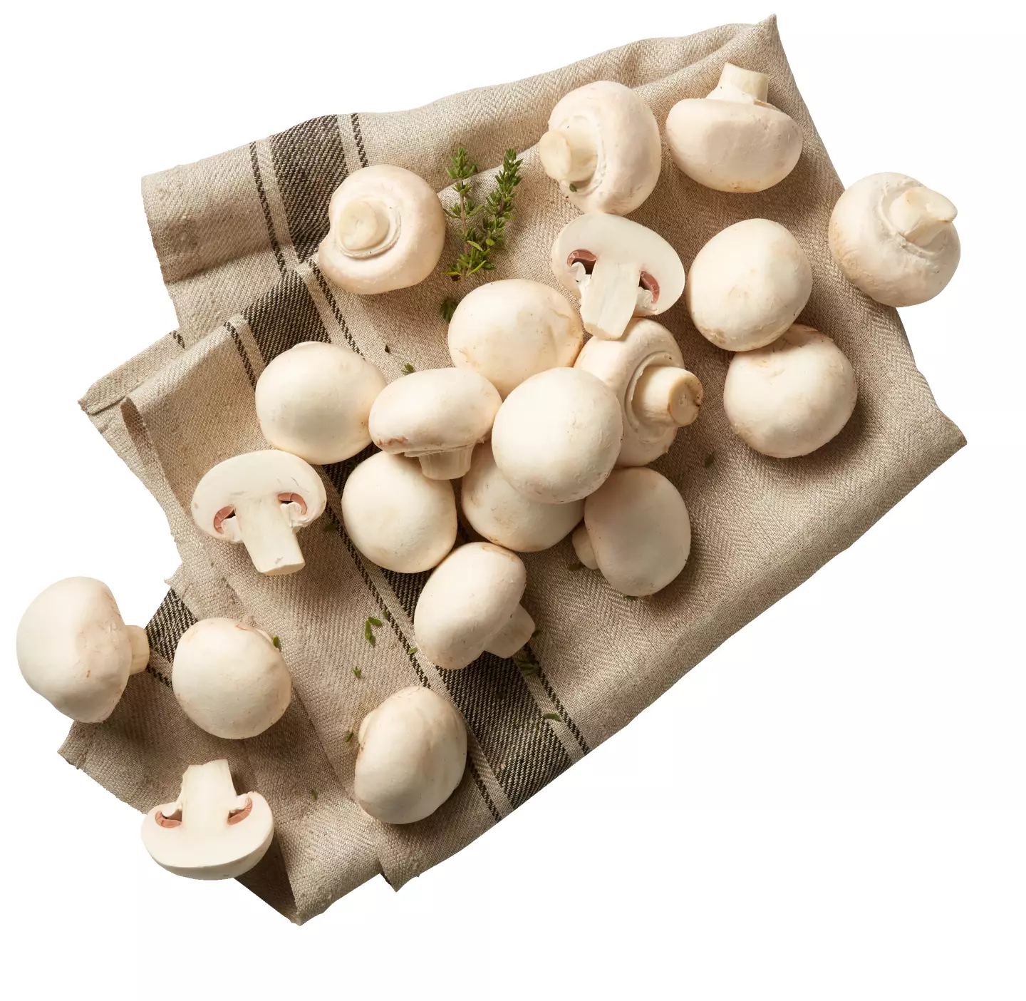 Ciuperci Champignon calitatea I caserolă 500g